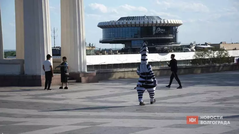 Зверские деньги: центр Волгограда заполонили аниматоры-вымогатели