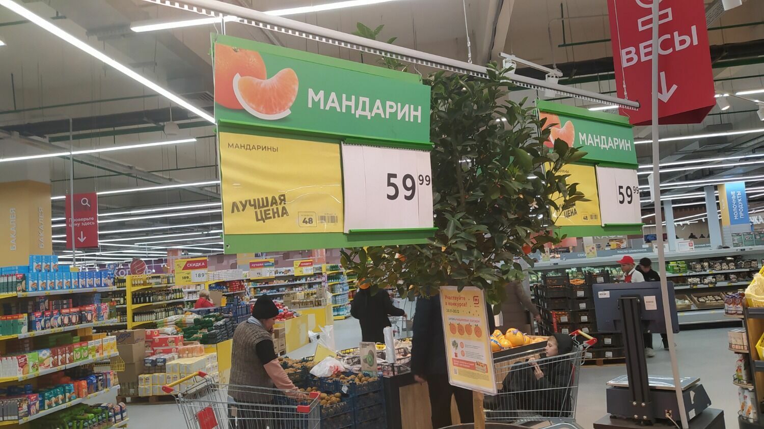 Цена «обычных» мандаринов в «Магните» держится на уровне конкурентов - 59,99 рублей за 1 кг