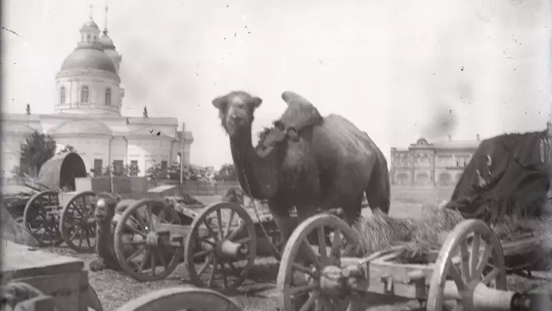 Верблюд на Скорбященской площади со стороны современного НЭТа