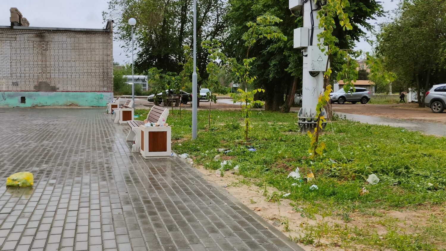 С уборкой парка у "Заканальной" в Волгограде большие проблемы