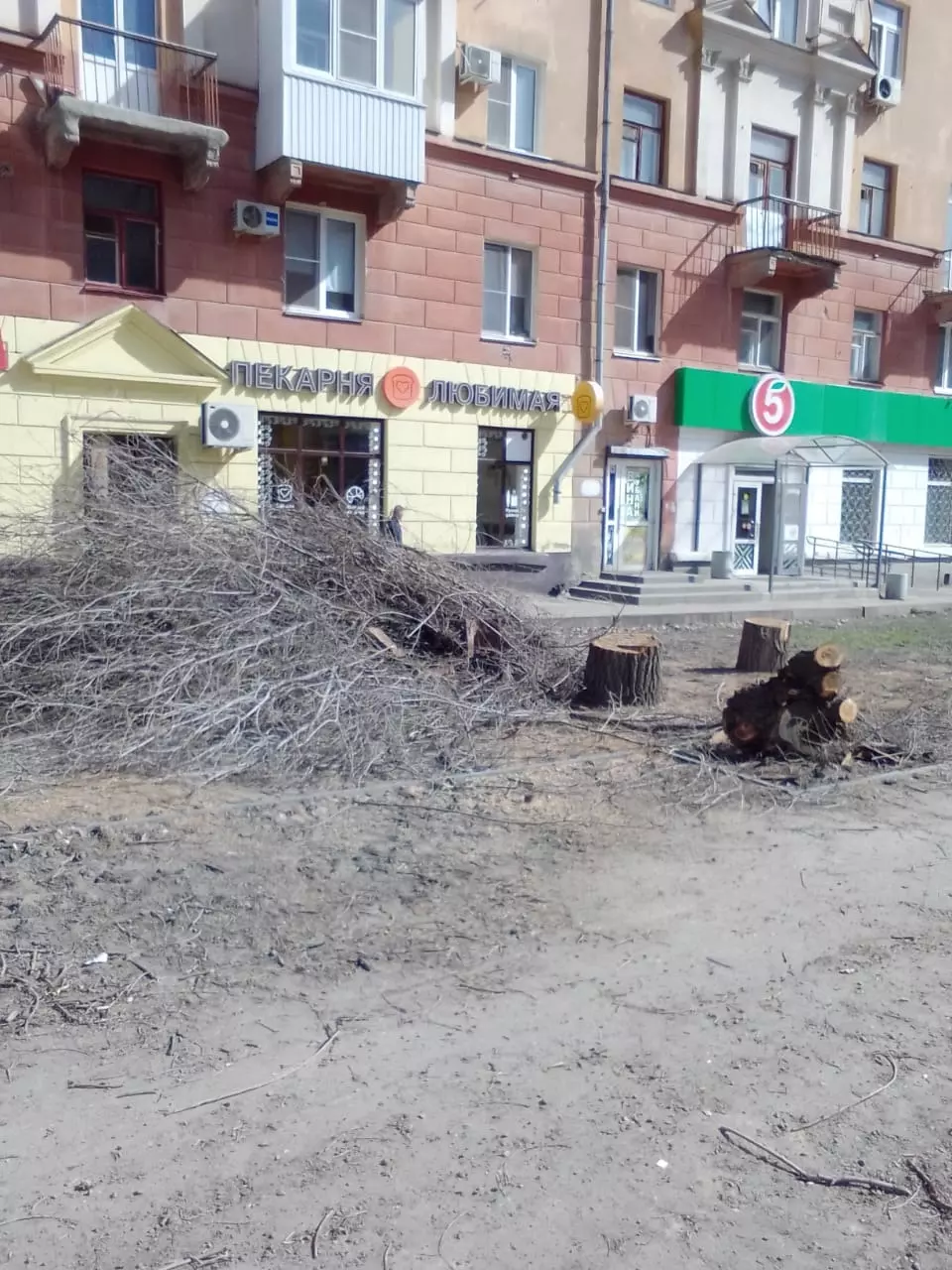 В Волгограде снесли деревья в парке