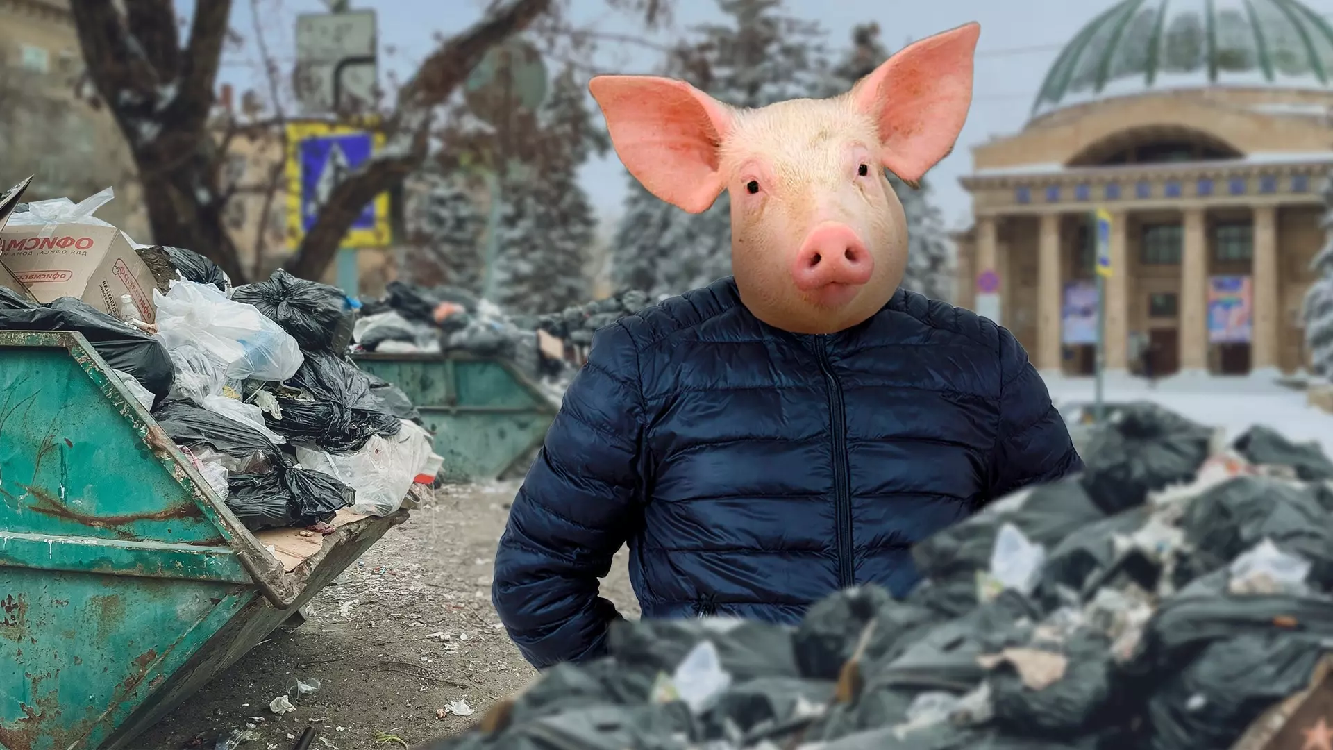 А свиньи кто? Как Волгоград становится мусорной столицей