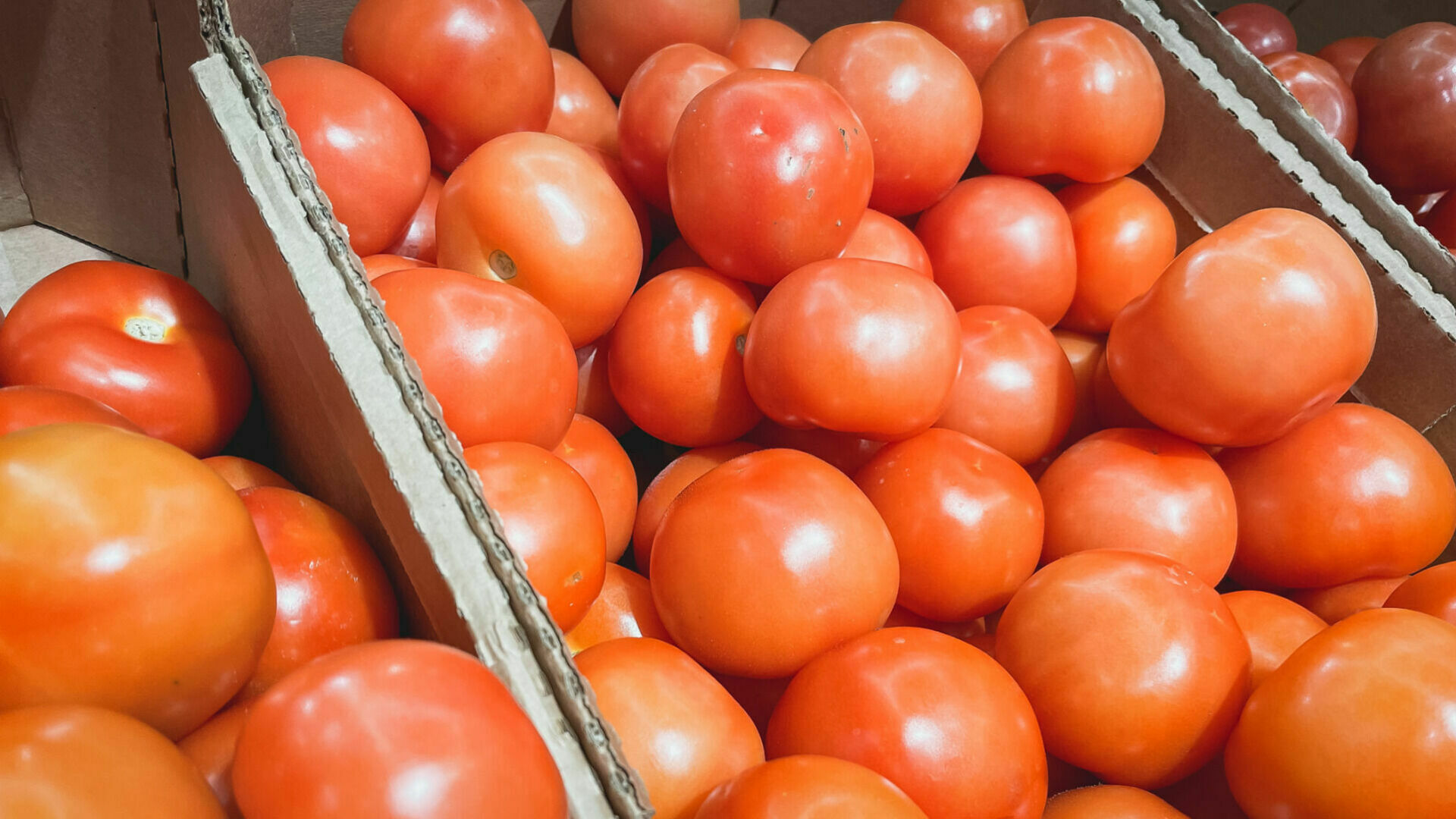 Более 20 тонн помидоров завезли в Волгоград.