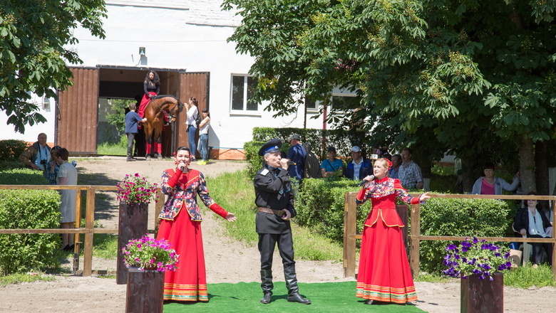 Крупный волгоградский чиновник ответит за фейковый фестиваль