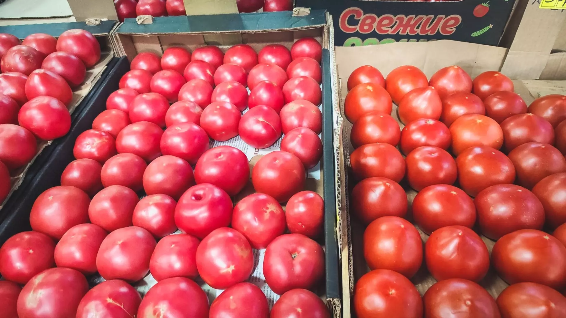 Цены на огурцы и помидоры взвинтили в Волгограде