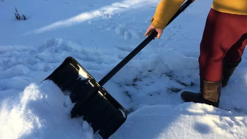 Лопата зимой выручит после внезапного снегопада