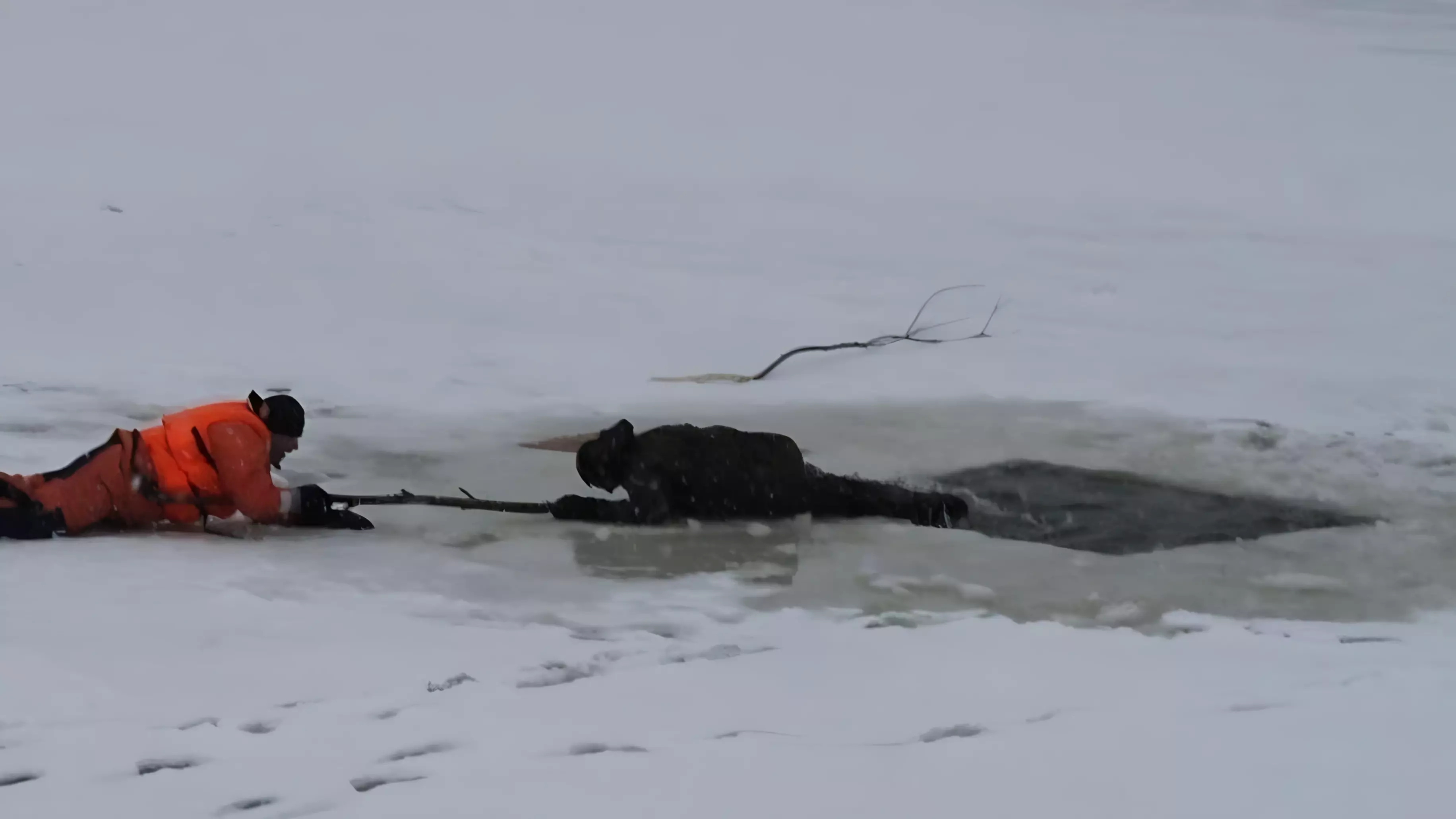 Двое рыбаков провалились под лед в Волгоградской области