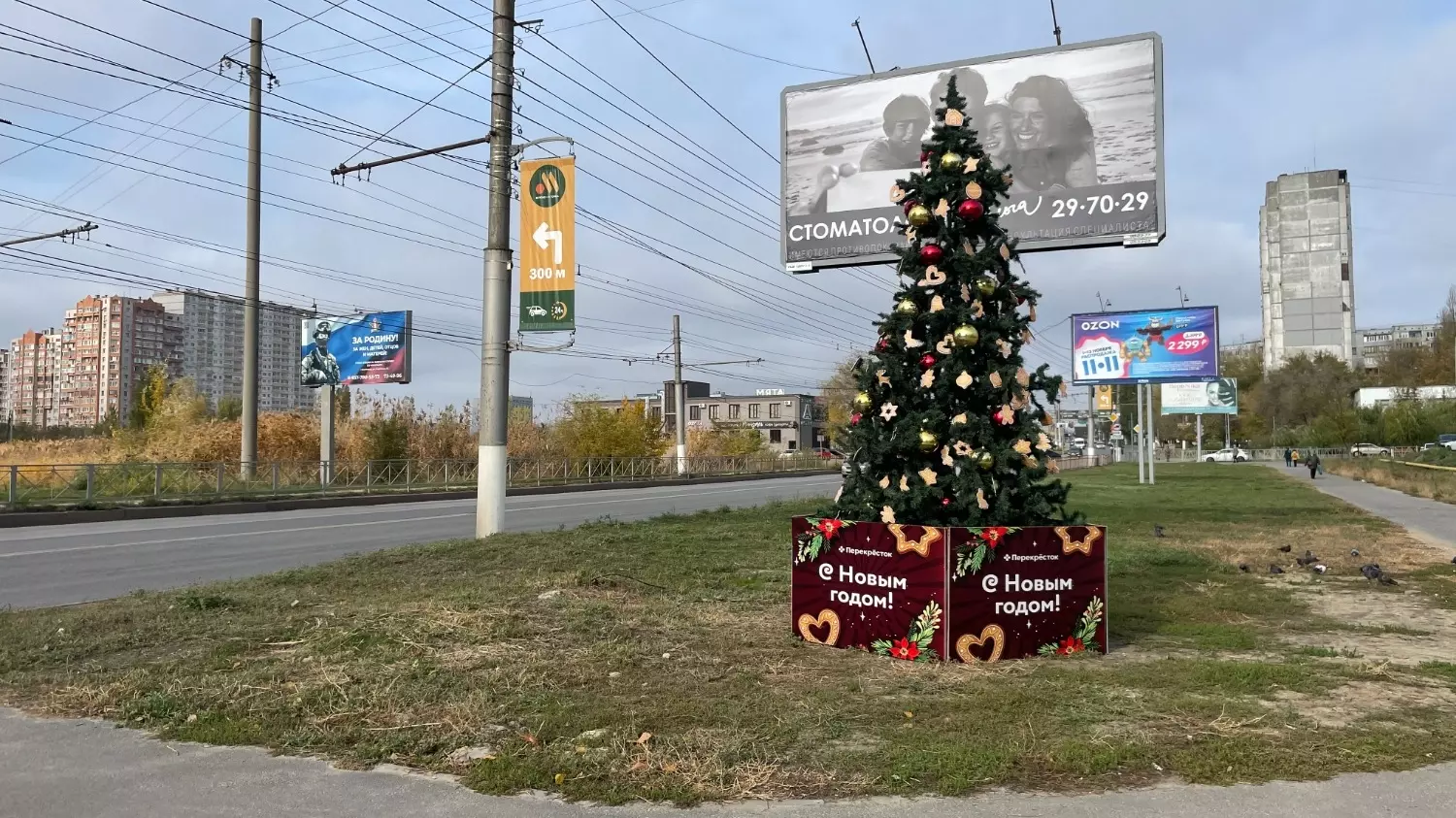Новогодняя ёлка украсила Дзержинский район уже в начале ноября