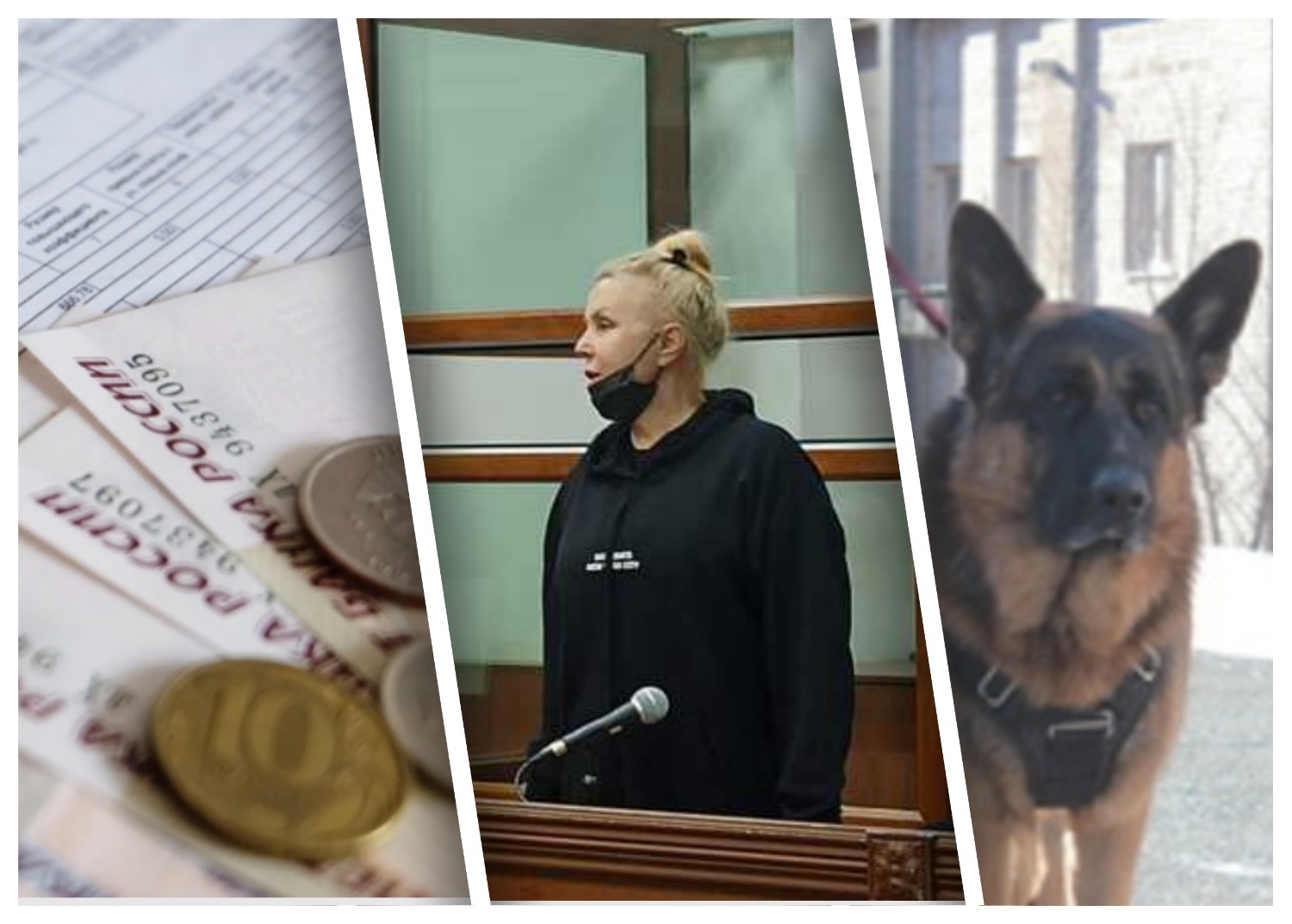Преступления и наказания в пятничных новостях Волгограда