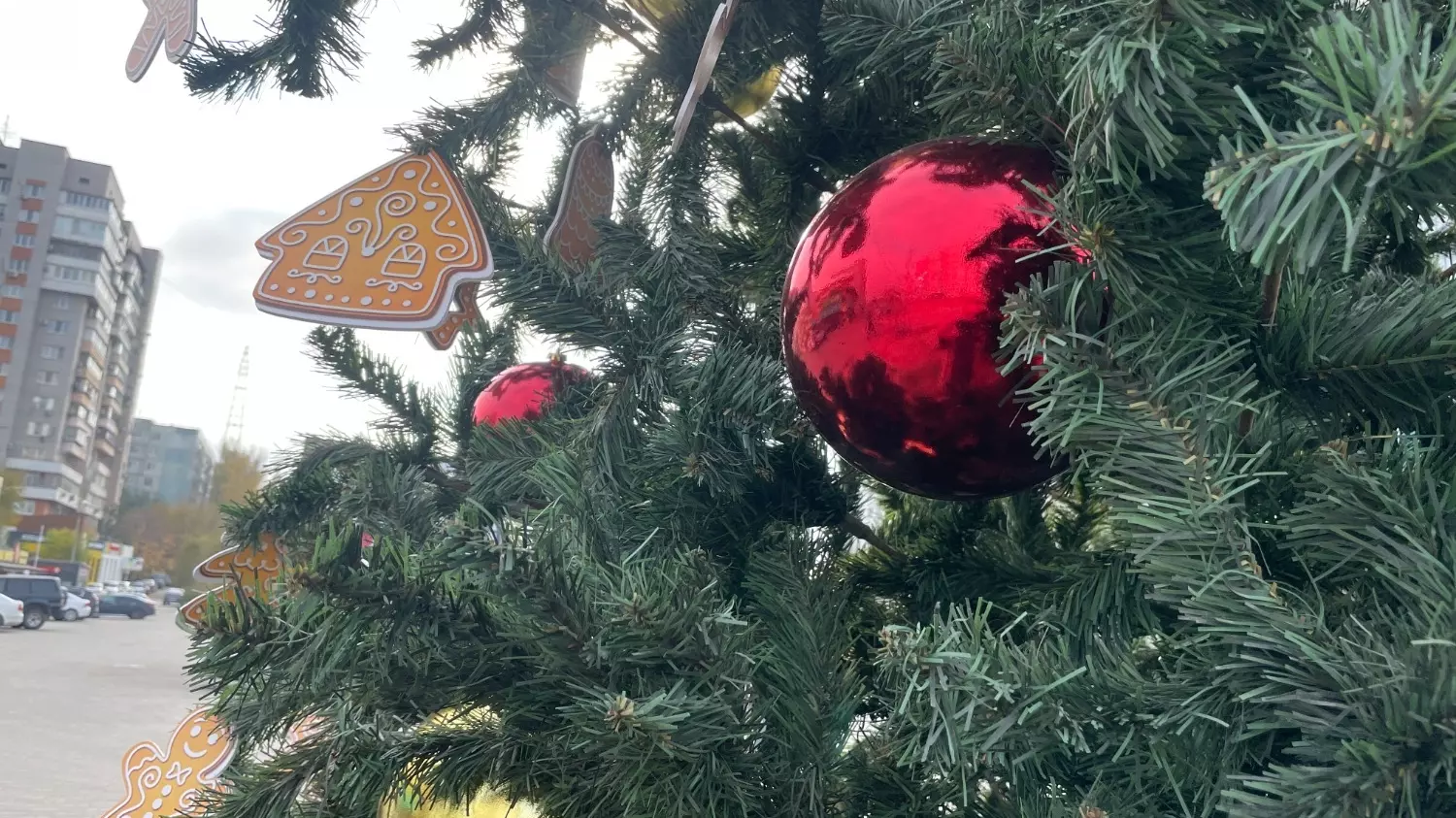 Новогодняя ёлка украсила Дзержинский район уже в начале ноября