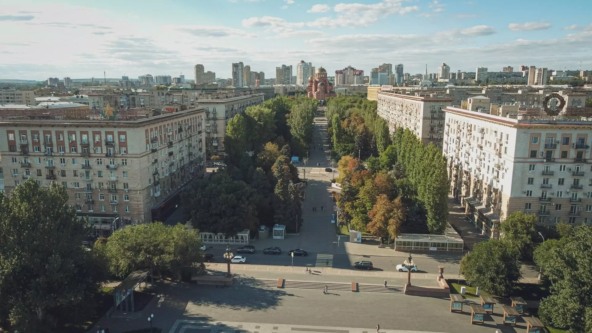 Вандалы срубают деревья даже в центре Волгограда