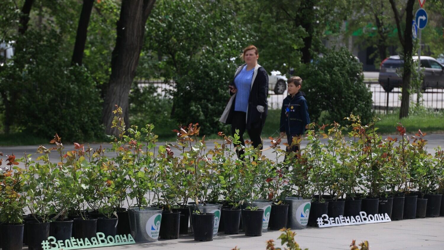 110 кустов роз высадили волонтёры РУСАЛа в Парке аттракционов