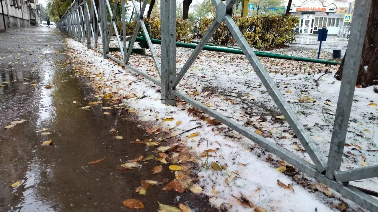 Первый снег продержался в Волгограде недолго