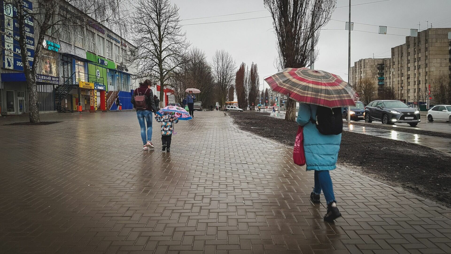 Циклон с дождями и грозами накроет Волгоградскую область