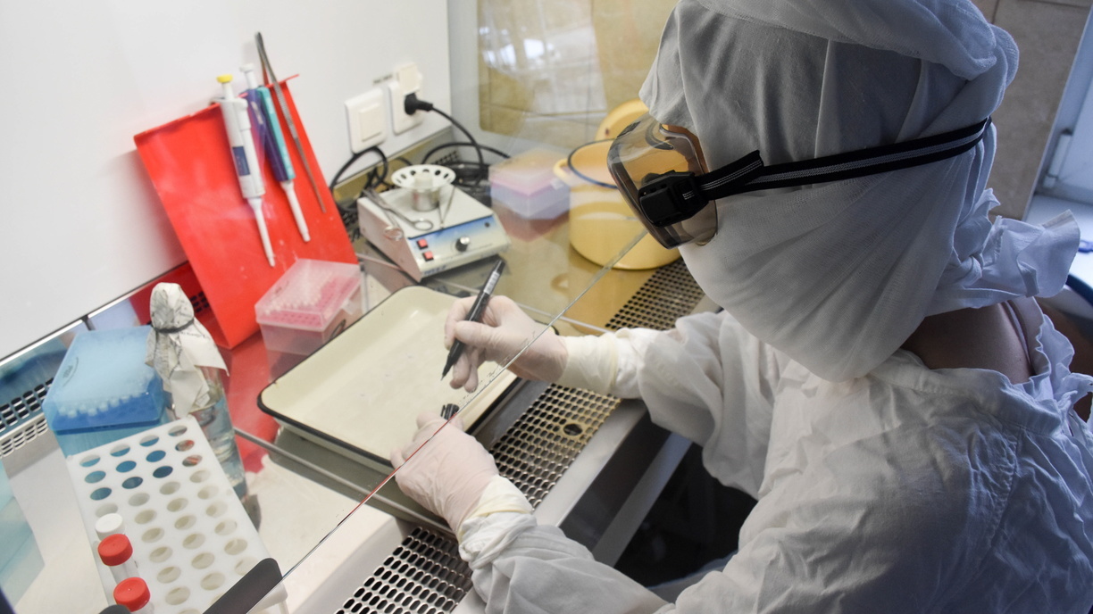 Еще четыре лаборатории подключились к приему COVID-тестов в регионе