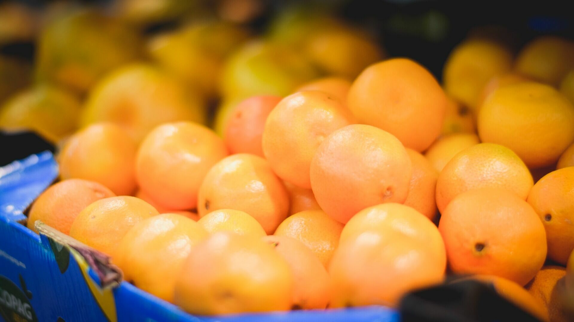 Муркотт - очень популярный в России кисло-сладкий гибрид апельсина и мандарина