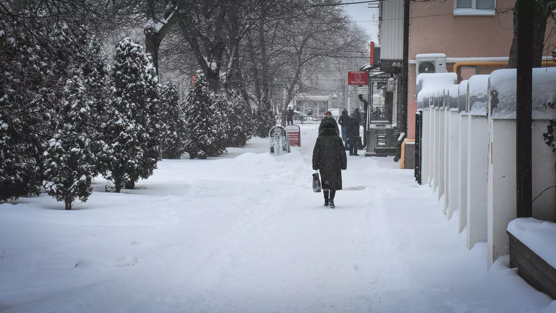 Рекордными морозами отметится конец января в Волгограде