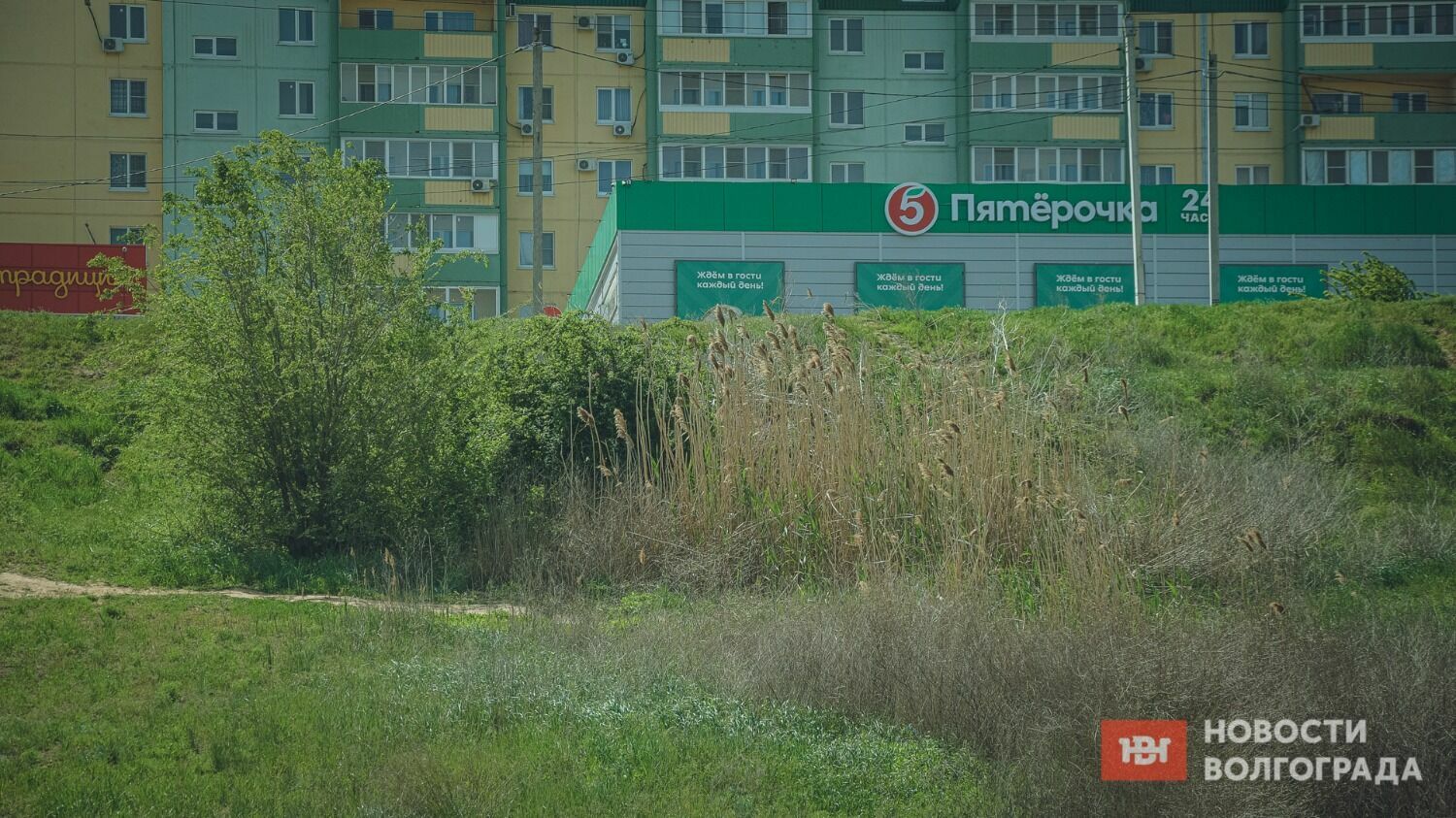 Зловонная речка образовалась здесь еще при строительстве ЖК "Ново-Комарово".