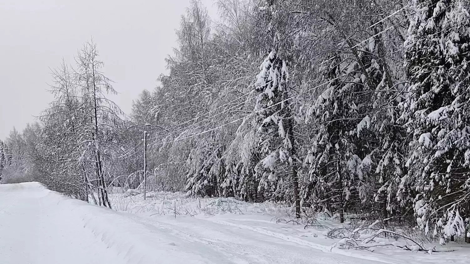 Сотни жителей Ярославской области страдают без света и тепла, но власти бездействуют