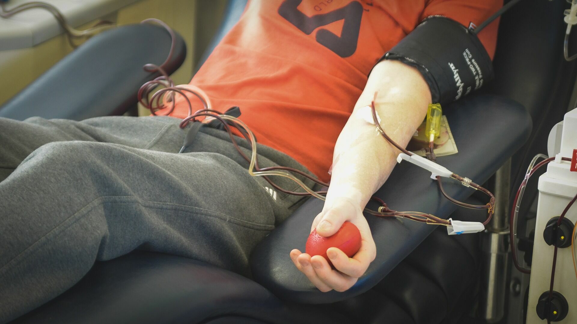 14 литров крови сдали волгоградские студенты-доноры за один день