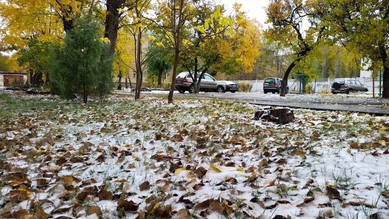 Первый снег продержался в Волгограде недолго