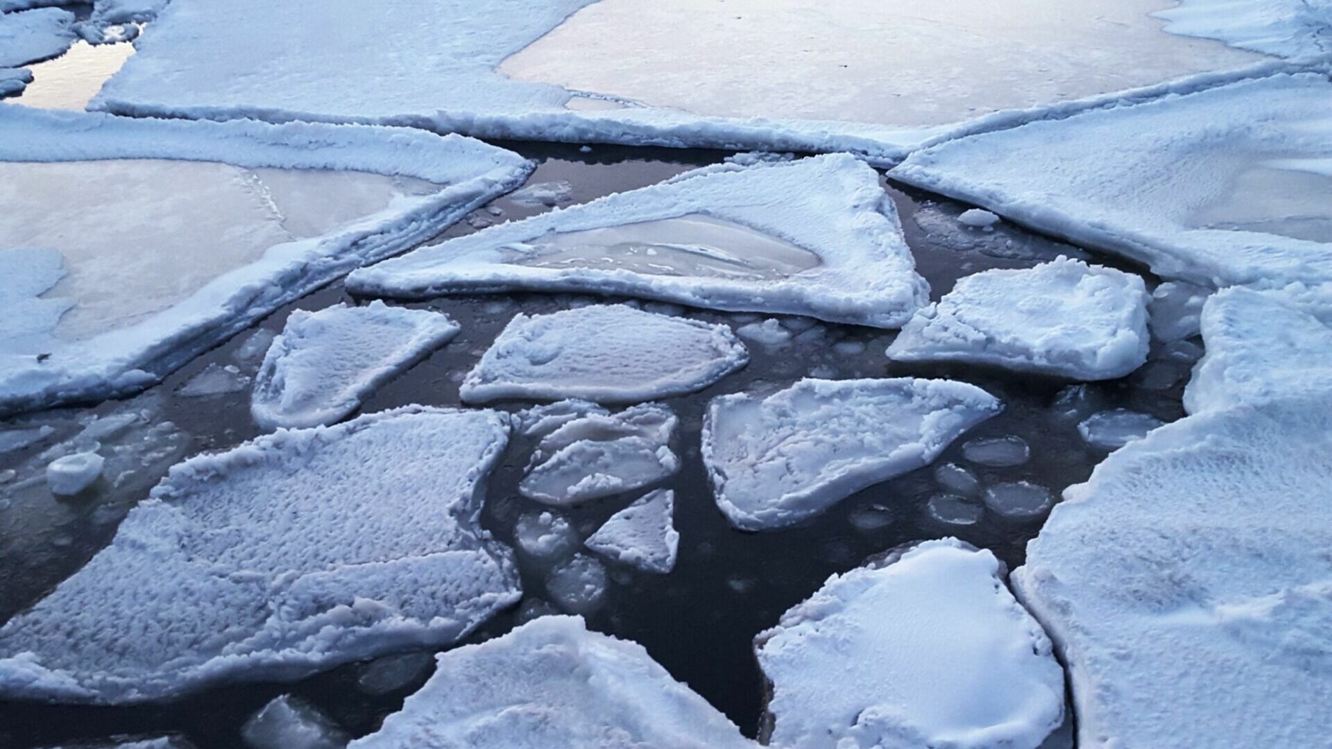 Нас отрезали от мира: понтонный мост смыло глыбами льда из-за паводка под Волгоградом