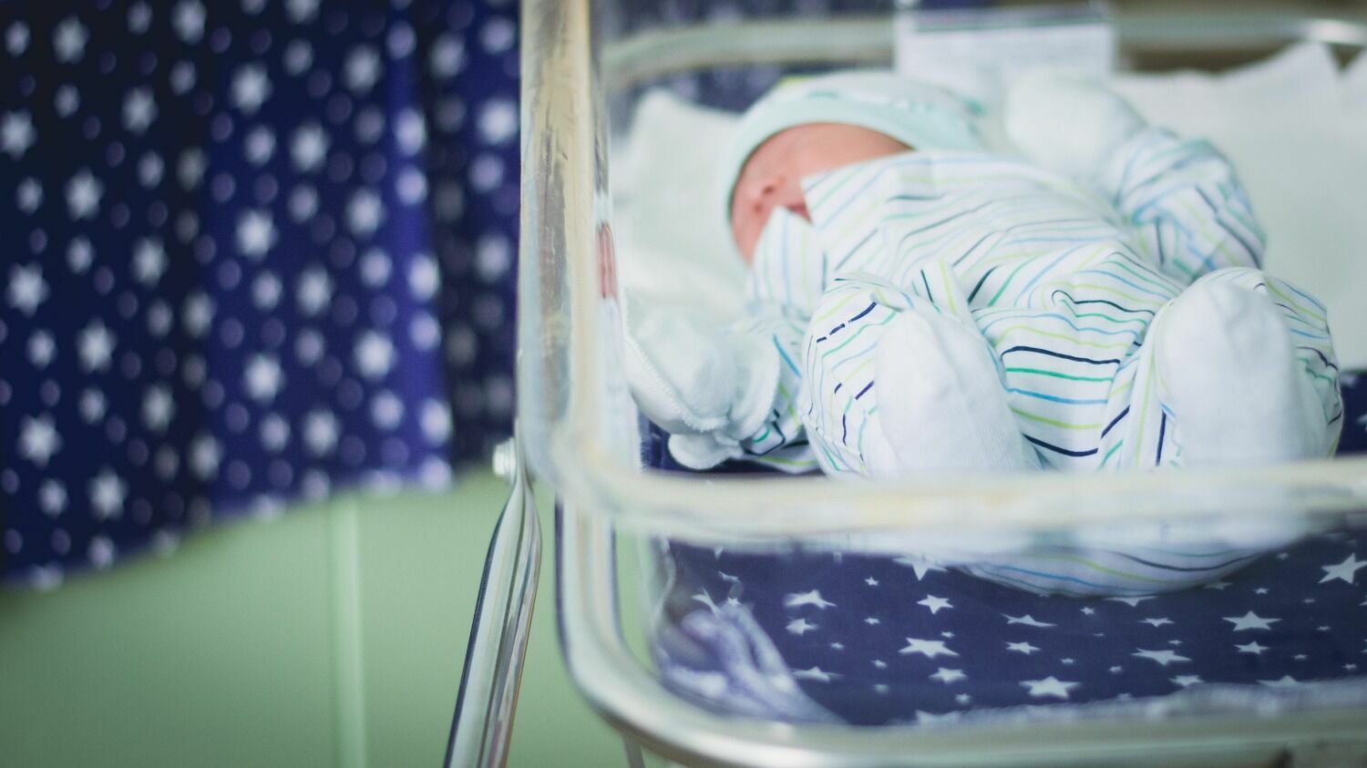 В Волгоградской области в марте 2023 года популярными именами для новорожденных мальчиков стали Максим и Матвей, а для девочек — София и Милана.