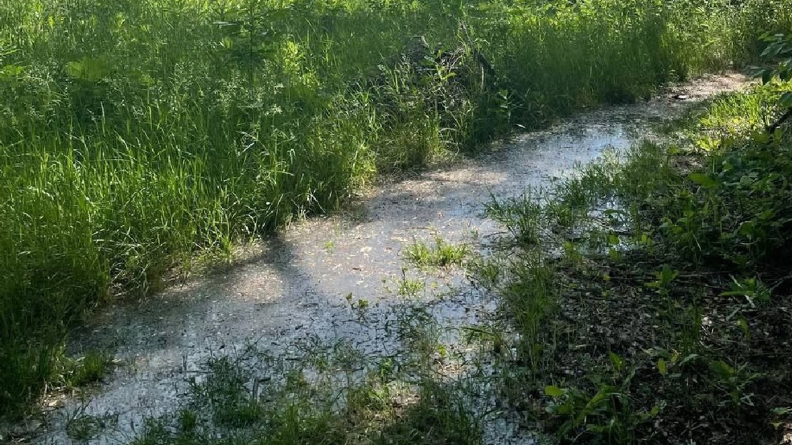 Почву и воду проверят после фекального потопа в Котово