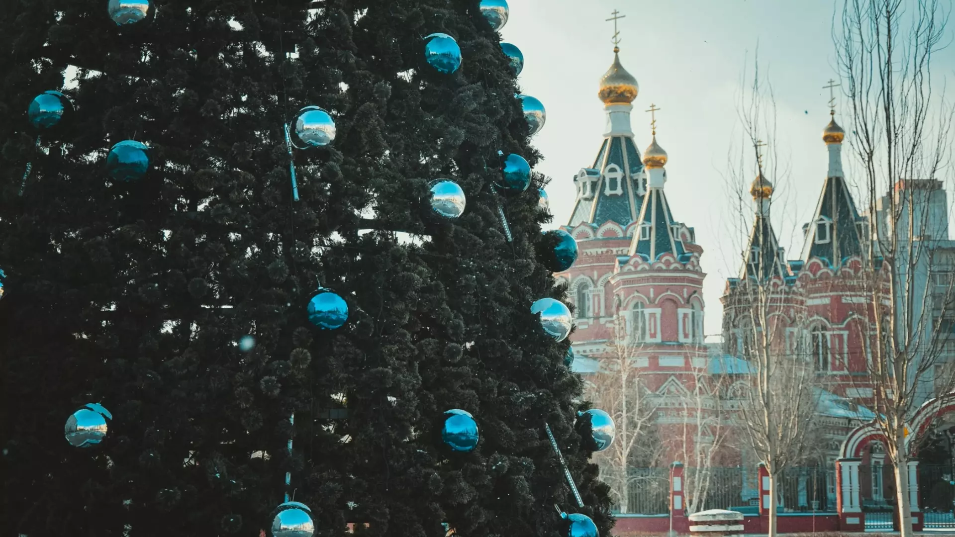 Куда пойти на новогодних каникулах в Волгограде