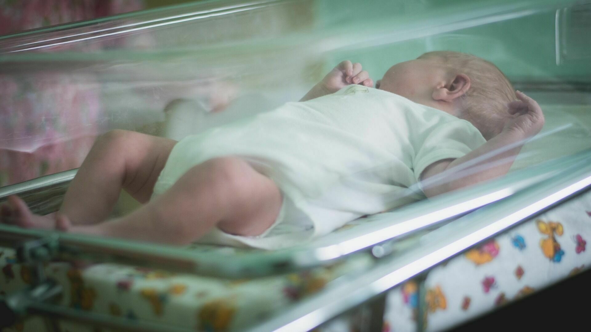 Смертность вдвое превысила рождаемость в Волгоградской области
