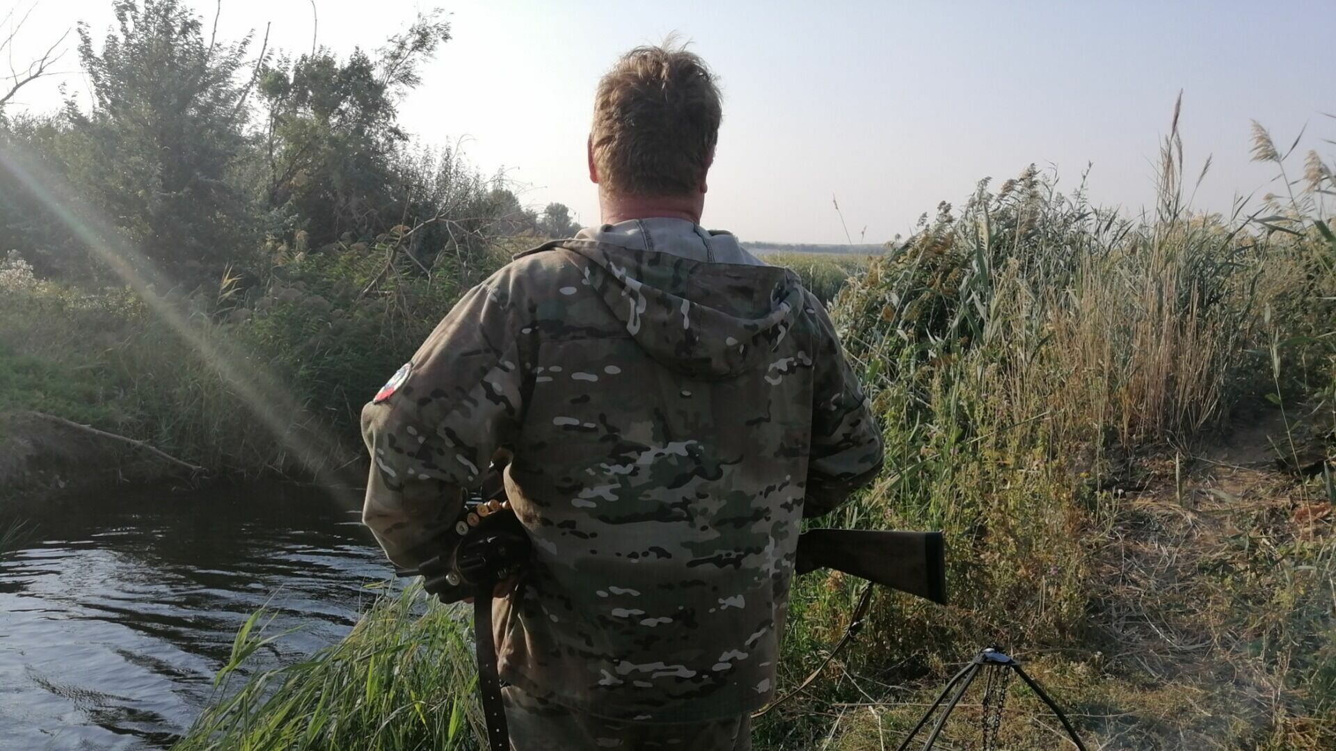 Охотник через суд выбил вознаграждение за отстрел 46 опасных шакалов в Волгограде