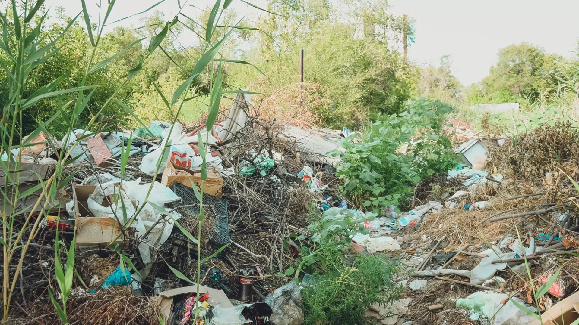 Когда уберут мусор в Мокрой мечетке в Волгограде