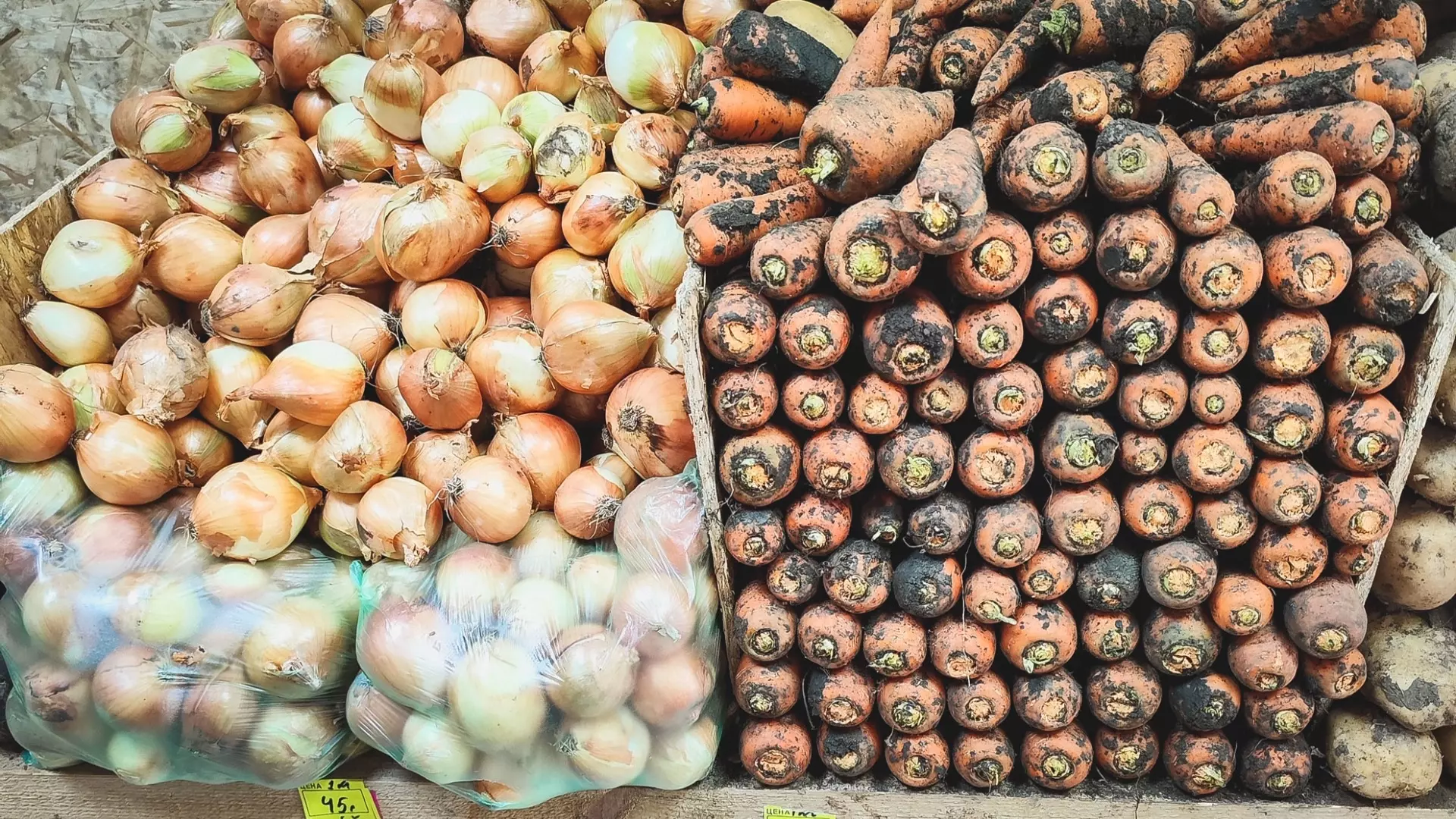Волгоградская область столкнулась с нехваткой импортных семян для овощей