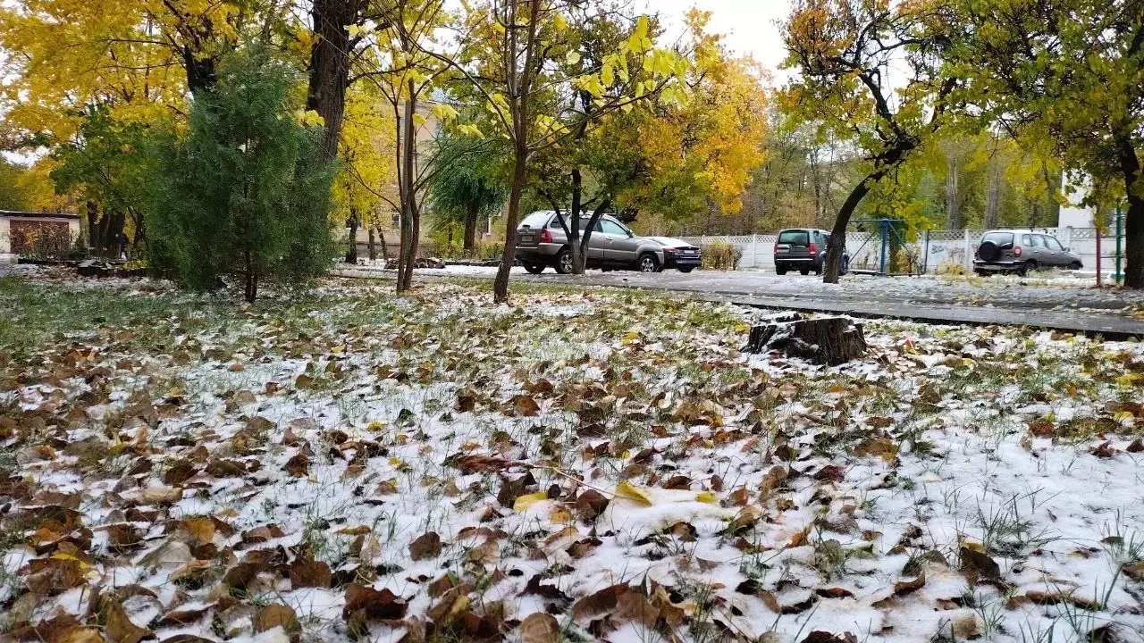 В Волгограде не ждали снег в октябре
