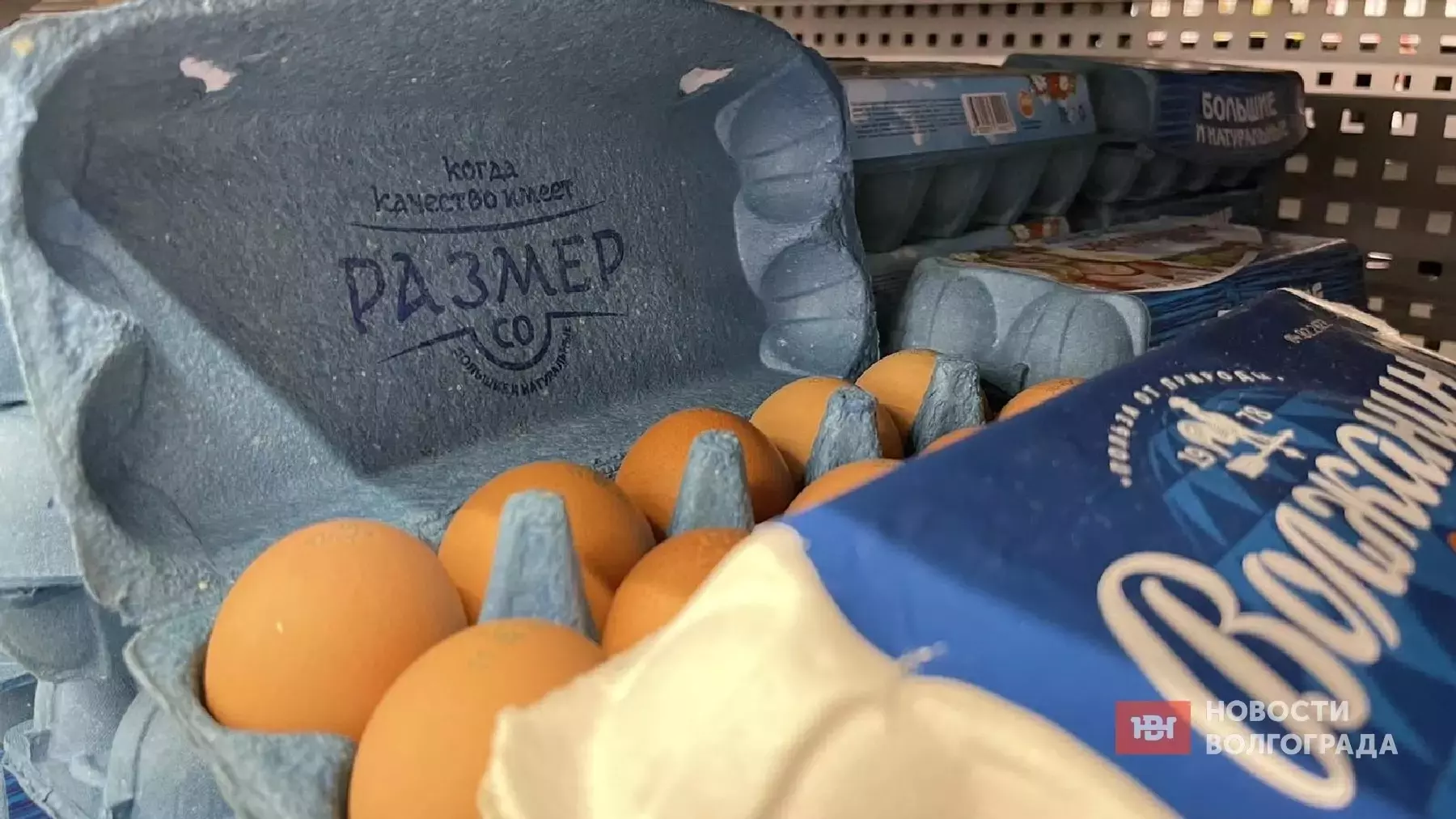 Сколько стоят яйца в Волгограде