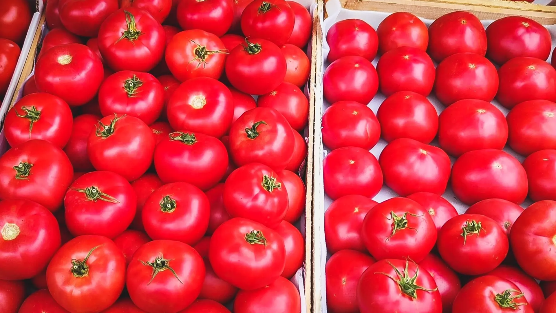 Сколько стоят помидоры в Волгограде