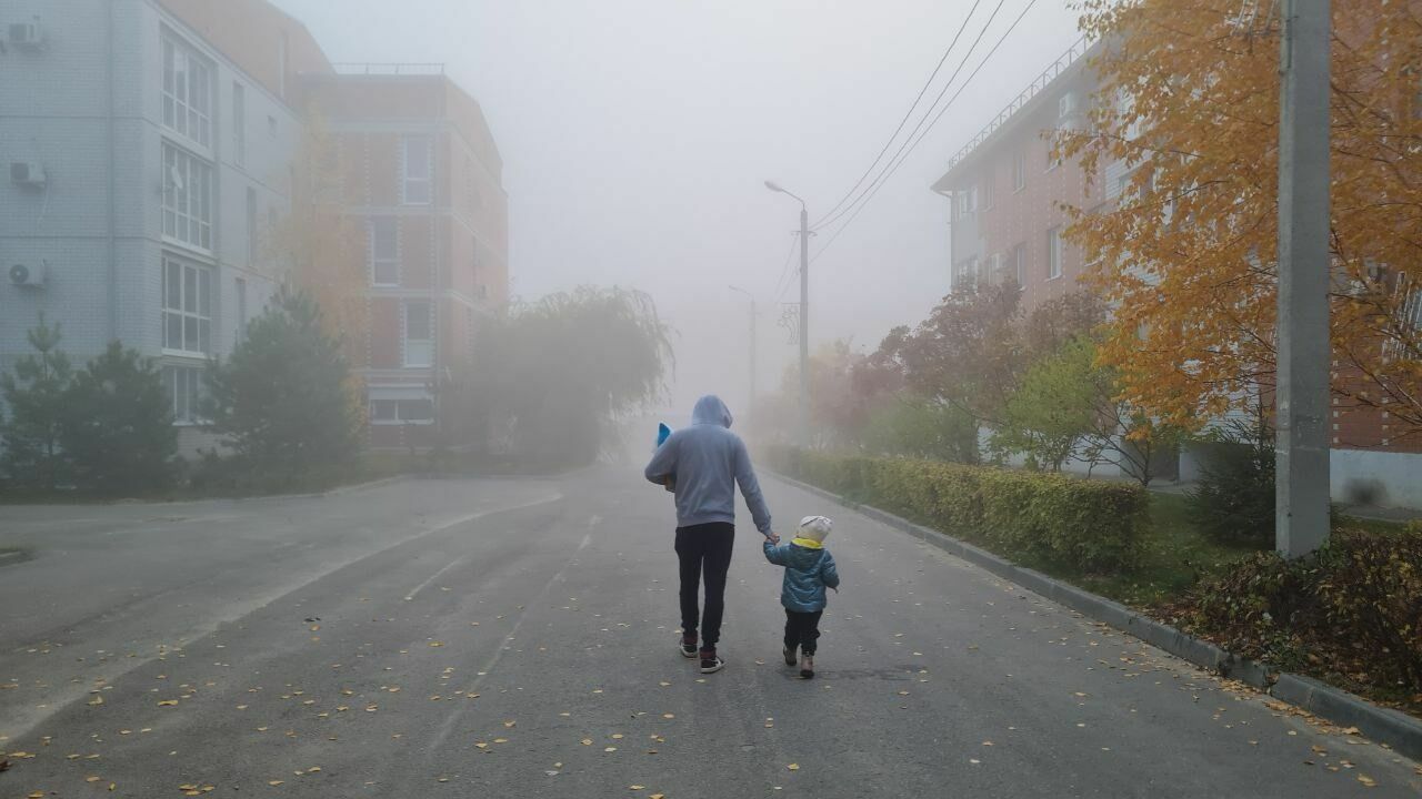 Туман накрыл 11 ноября Волгоградскую область