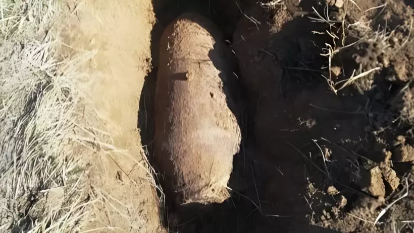 В районе Чернышковский районе нашли авиационную бомбу времен ВОВ