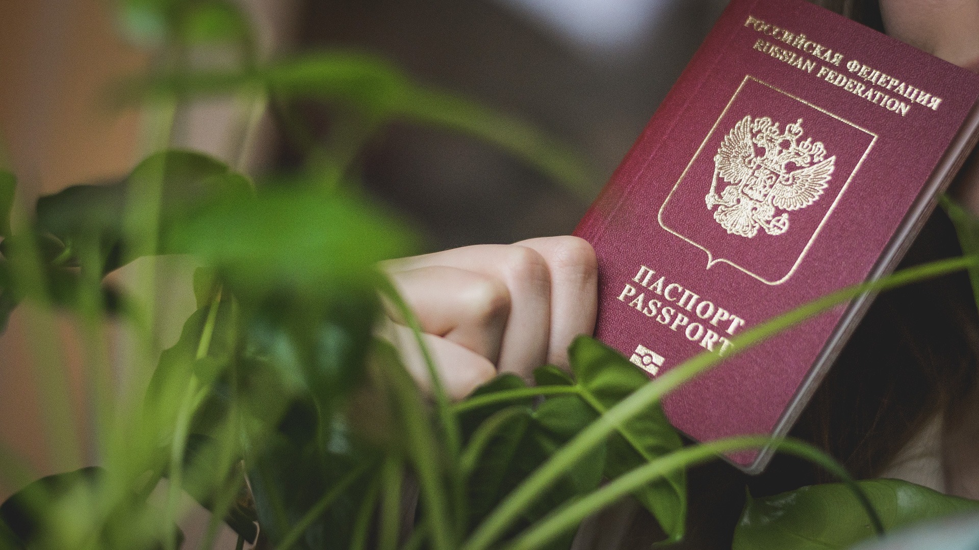 С начала 2023 года было замечено изменение записей в паспортах у 971 жителя