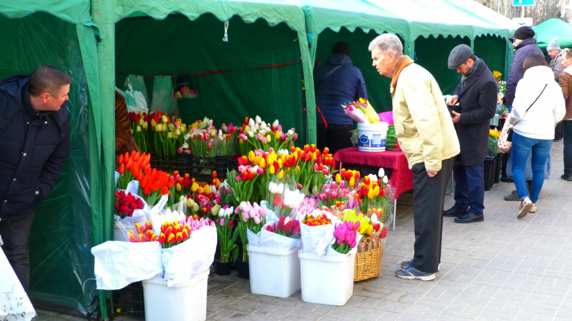 В канун 8 марта 100 точек по продаже цветов откроются в Волгограде