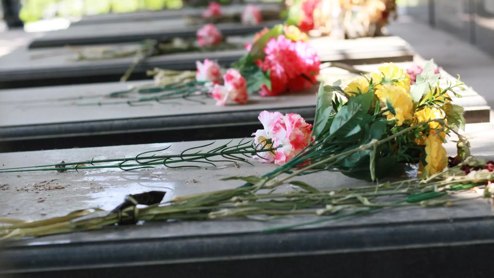 Свалку у могилы бойца СВО устроили в Волгограде