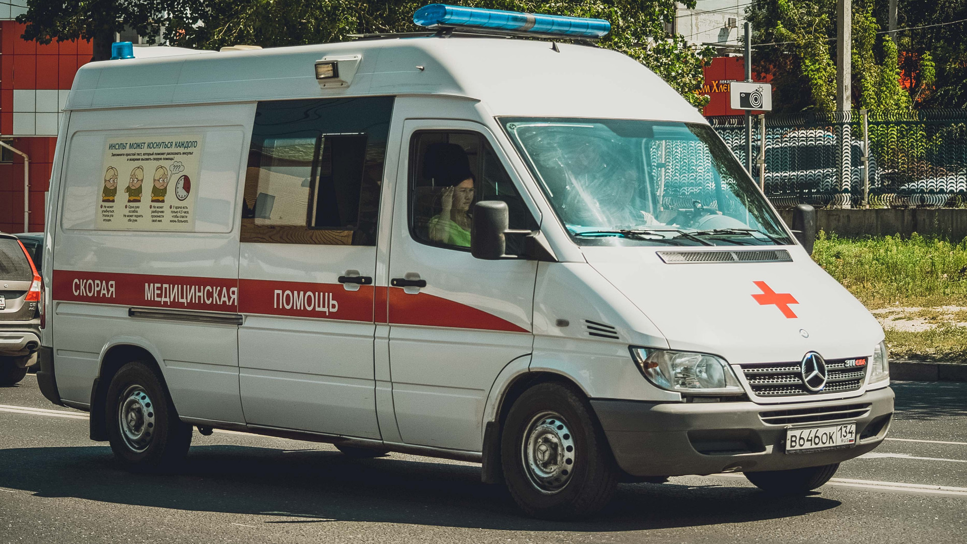 Гадюки напали на двух детей в Волгоградской области