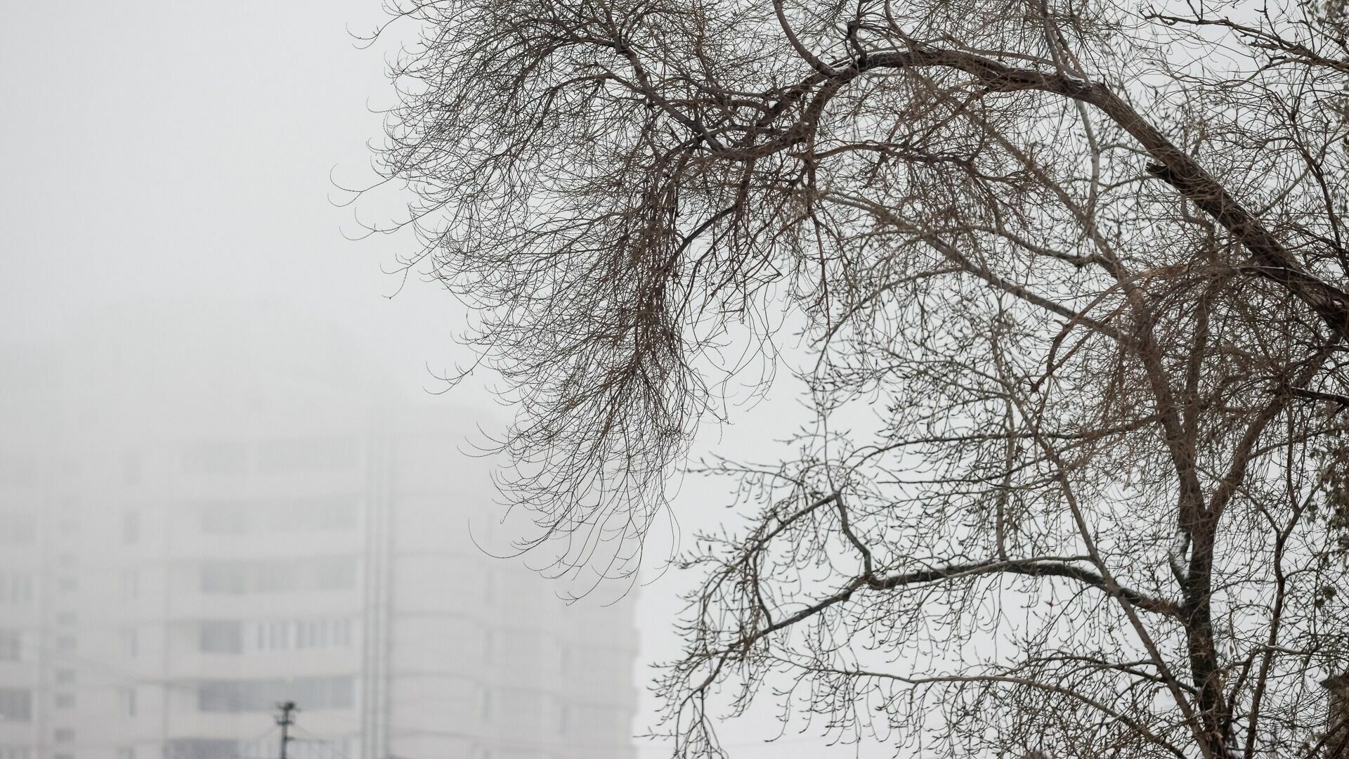 Туман снова скроет Волгоград