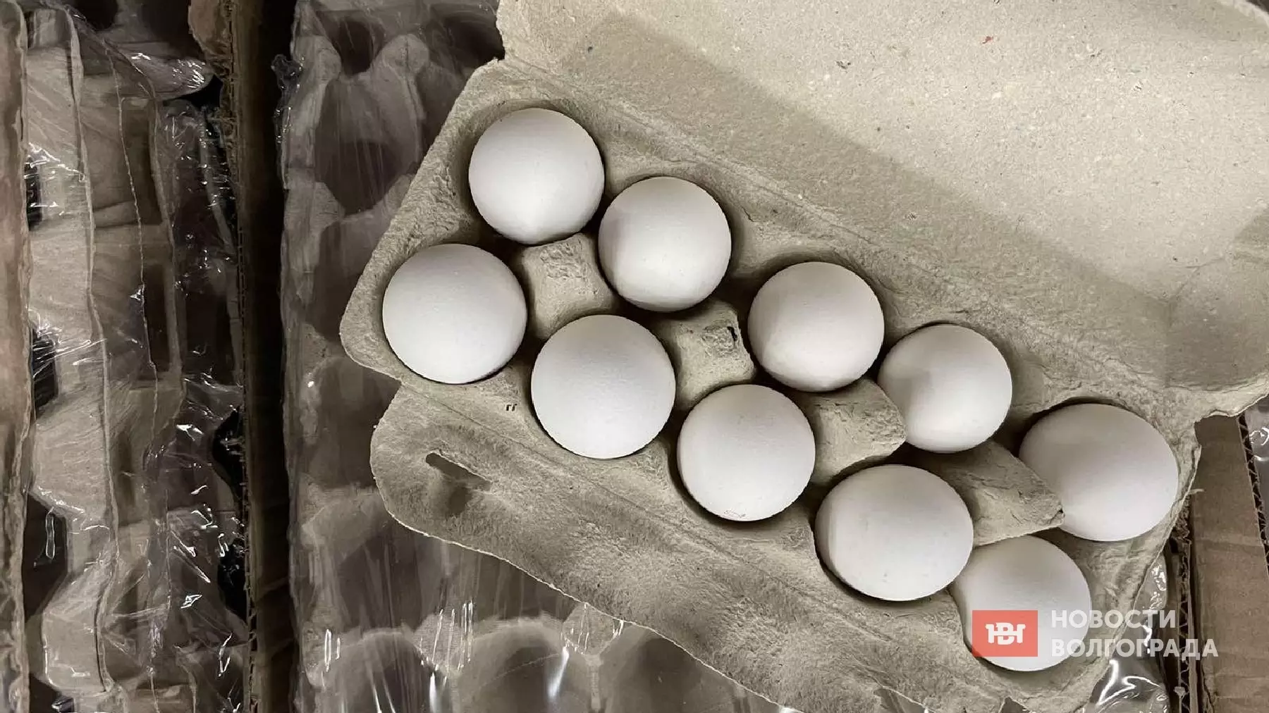 Насколько подорожали яйца в магазинах Волгограда
