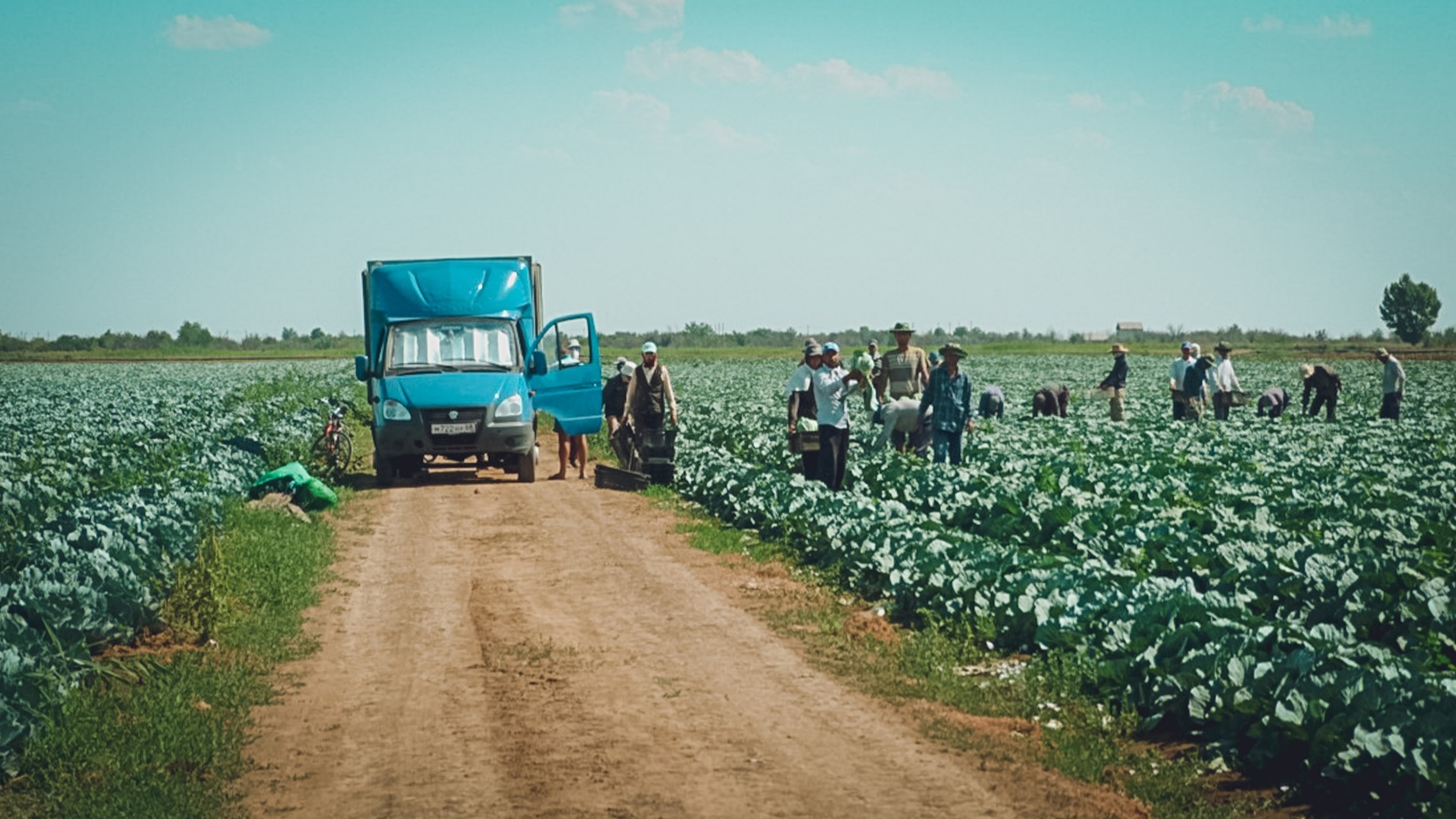 Мигранты пожаловались на рабский труд у волгоградского фермера