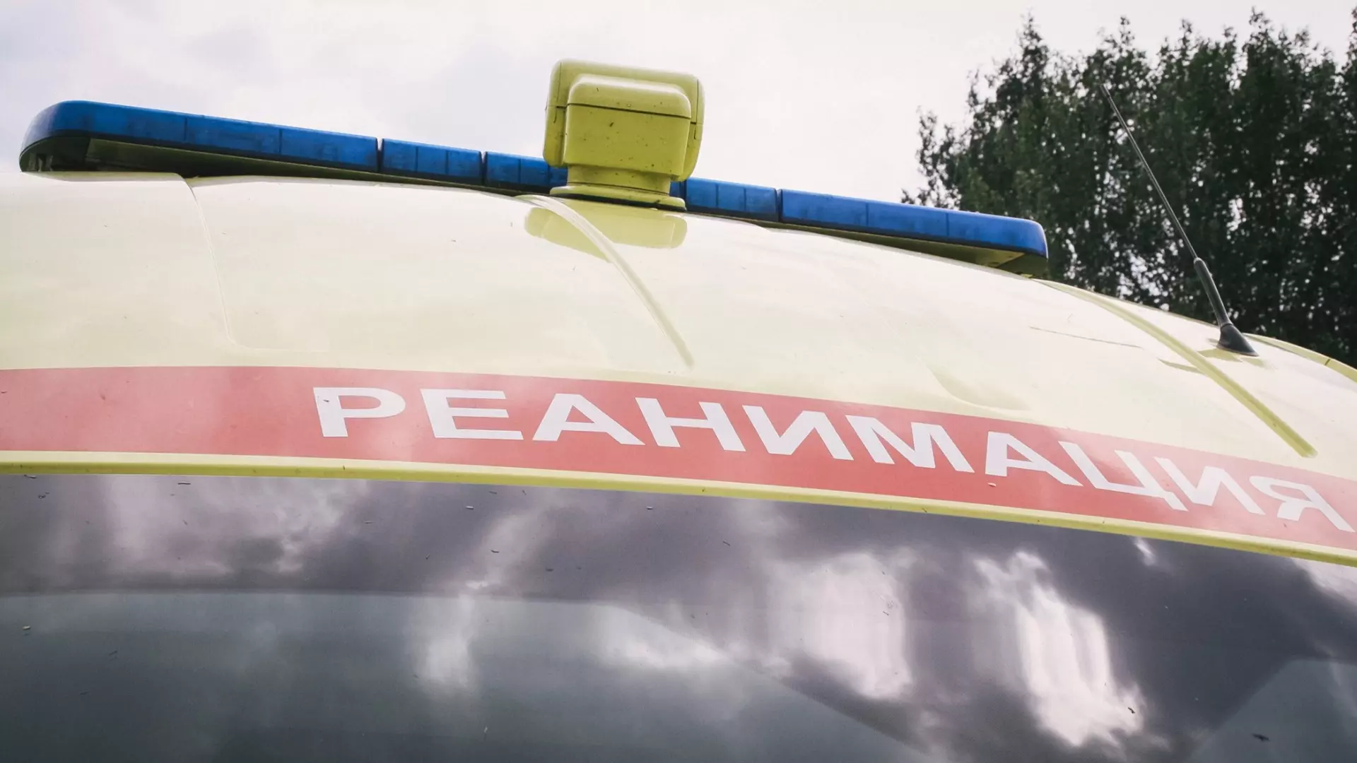 Женщина-водитель скончалась в реанимации после лобового ДТП под Волгоградом