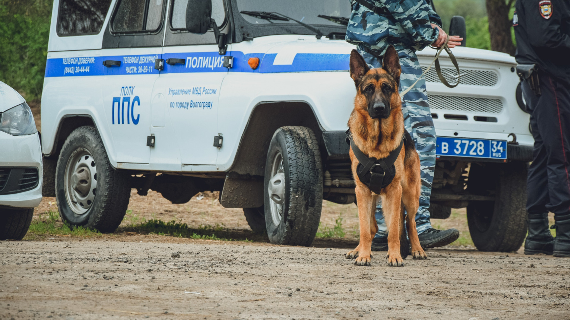Волгоградец угрожал взорвать отдел полиции на севере города