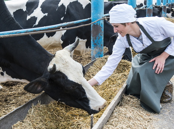 Племзавод с уникальными коровами продают в Волгоградской области за 44 млн рублей