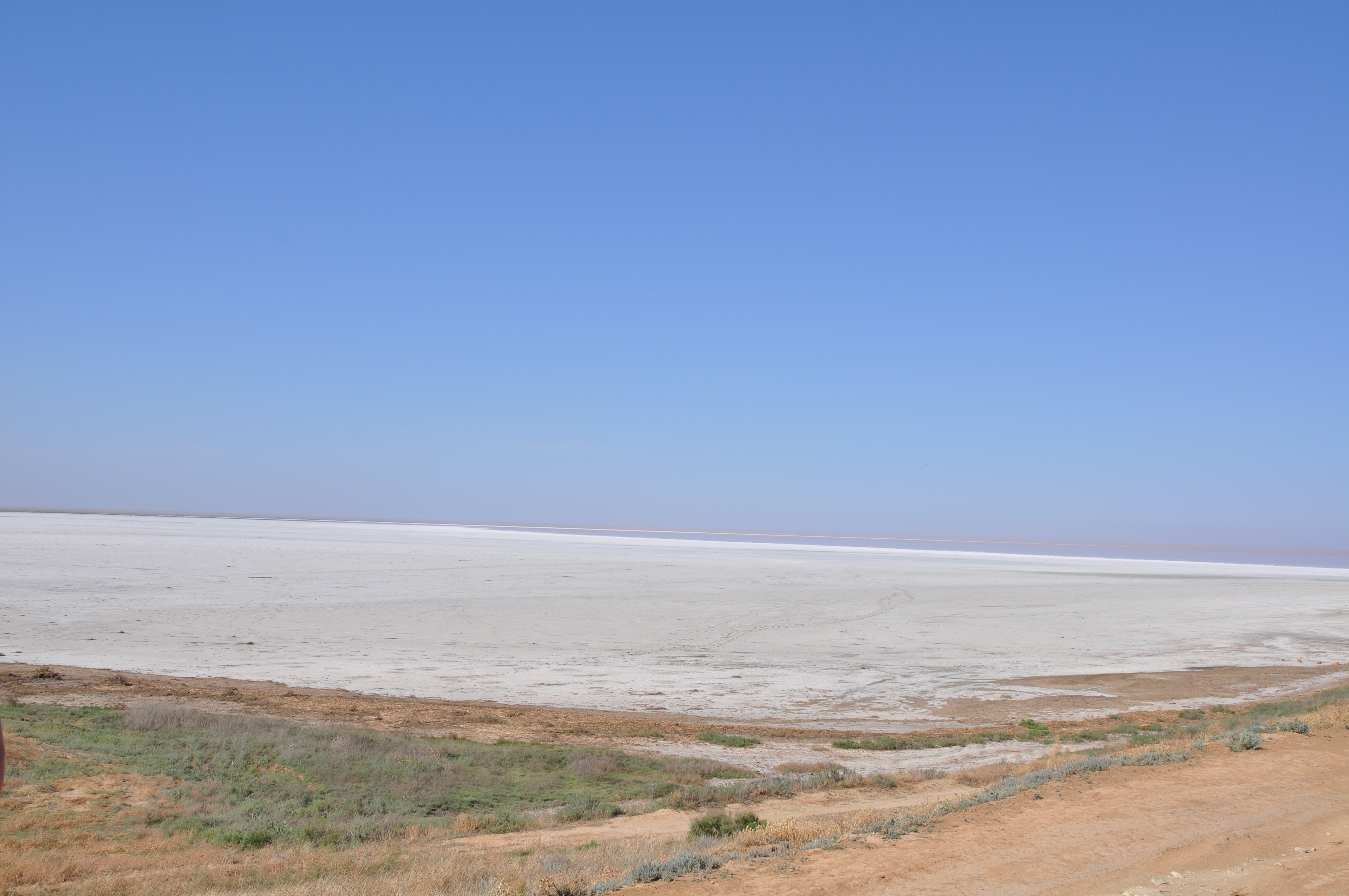 Концентрация соли в озере Эльтон –более 200%