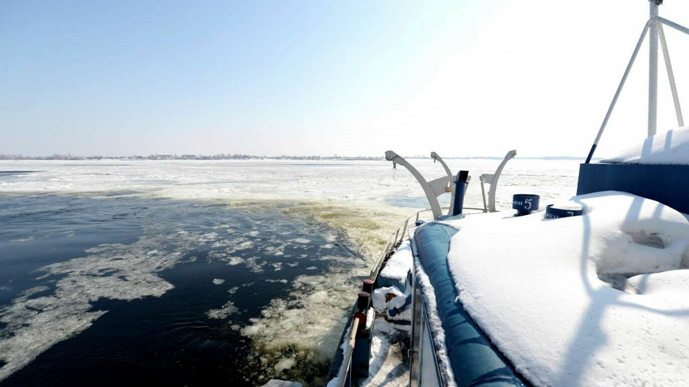 Уровень воды вырос на полметра на реке Дон в Волгоградской области
